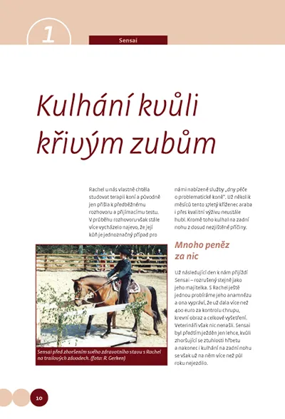 Knihy, ukázka 18