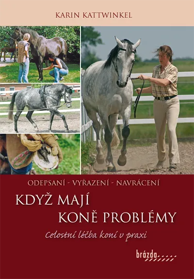 Knihy, ukázka 17